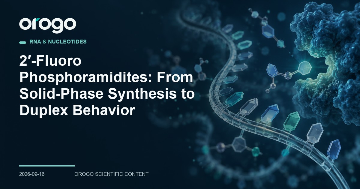 2′-Fluoro Phosphoramidites: From Solid-Phase Synthesis to Duplex Behavior article cover