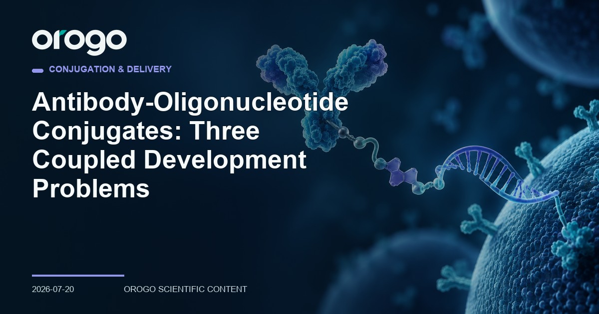 Antibody-Oligonucleotide Conjugates: Three Coupled Development Problems article cover