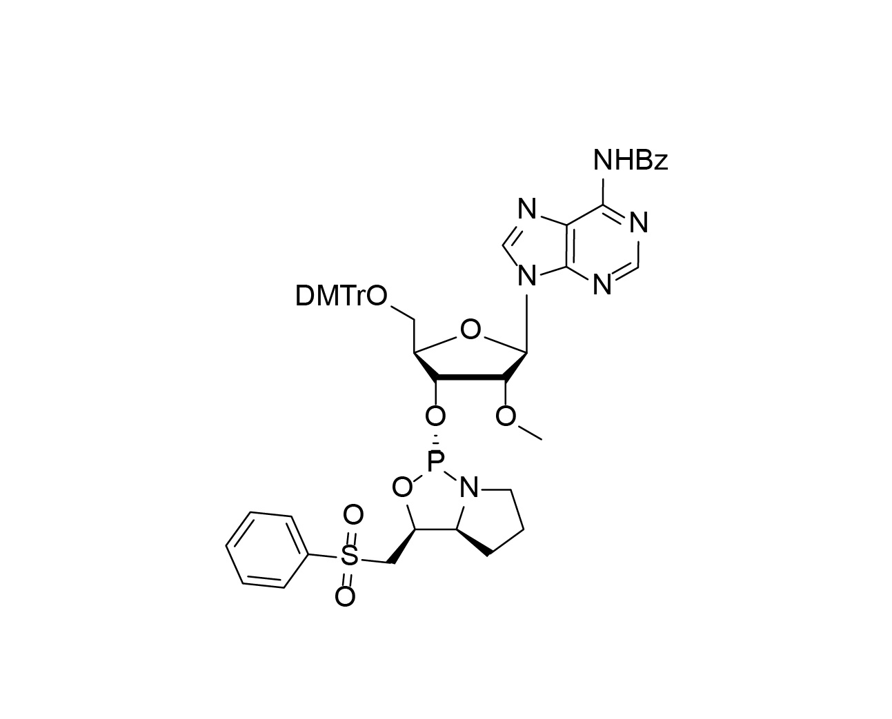 Chemical structure of 5'-O-DMTr-2'-O-Me-N6-benzoyladenosine-3'-(L)-PSM phosphoramidite