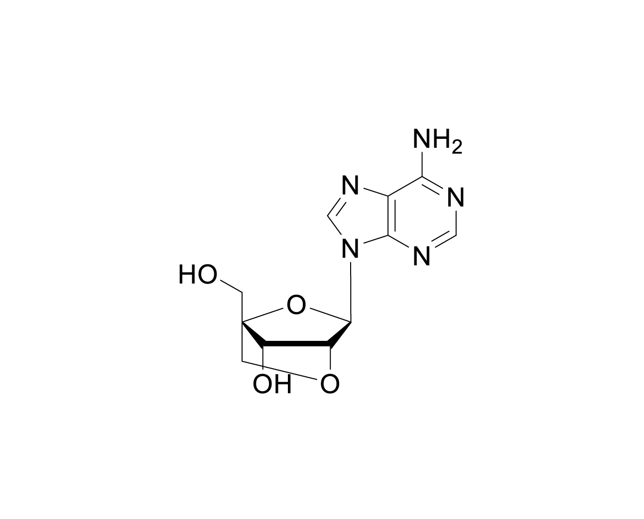 Structure of 2'-O,4'-C-methylene locked adenosine